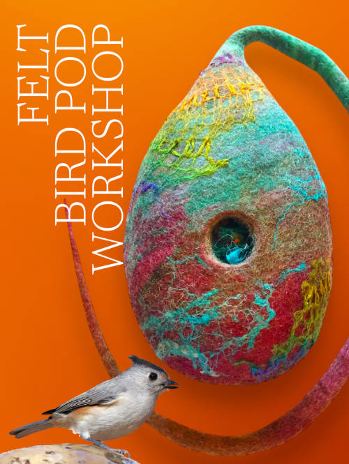 Felted Bird Pod with Dawn Edwards
